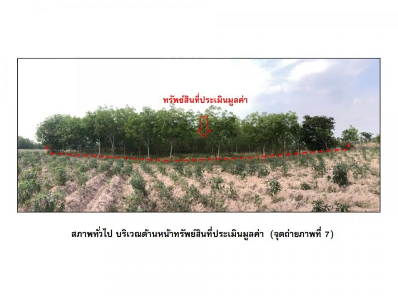 ที่ดินหลุดจำนอง ธ.ธนาคารออมสิน สุรินทร์ พนมดงรัก -