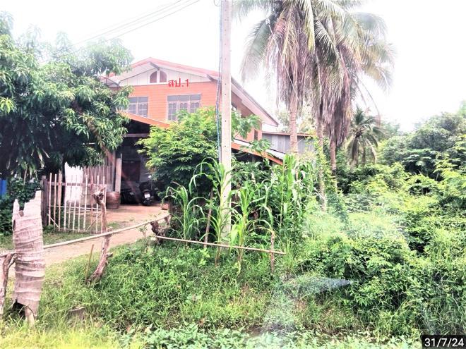 บ้านเดี่ยวหลุดจำนอง ธ.ธนาคารกสิกรไทย สุรินทร์ ศีขรภูมิ แตล