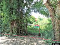 บ้านเดี่ยวหลุดจำนอง ธ.ธนาคารกสิกรไทย สุรินทร์ ศรีณรงค์ ณรงค์