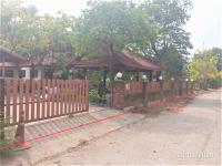 บ้านเดี่ยวหลุดจำนอง ธ.ธนาคารกสิกรไทย สุรินทร์ ปราสาท หนองใหญ่