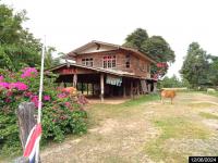 บ้านเดี่ยวหลุดจำนอง ธ.ธนาคารกสิกรไทย สุรินทร์ ศีขรภูมิ จารพัต